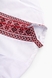 Рубашка-вышиванка с коротким рукавом 164 КОЗАК Красный (2000904711352S) Фото 2 из 4