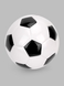 М'яч футбольний YH1284 Біло-чорний (2000990573247) Фото 1 з 2
