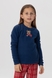 Пижама детская Misenza K35003 14-15 лет Синий (2000990075628A)(NY) Фото 3 из 20