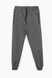 Спортивні штани для хлопчика з принтом Pitiki 29430 158 см Темно-сірий (2000989474517D) Фото 1 з 3