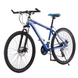Спортивний велосипед RUI JIA FOHZ 26" Синій (2000989528937) Фото 2 з 11