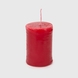 Свічка Червоні ягоди CA558-RBR Різнокольоровий (2000990318718)(NY) Фото 2 з 3