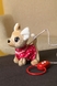 Іграшка Собака M5596 I Різнокольоровий (6903317404971) Фото 2 з 6