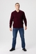 Пуловер однотонный мужской Akin Trico 1127 5XL Бордовый (2000990009920D) Фото 5 из 12