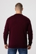 Пуловер однотонный мужской Akin Trico 1127 5XL Бордовый (2000990009920D) Фото 4 из 12