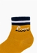 Шкарпетки жіночі,35-40 Pier Lone K-1194 Різнокольоровий (2000904238705A) Фото 2 з 2