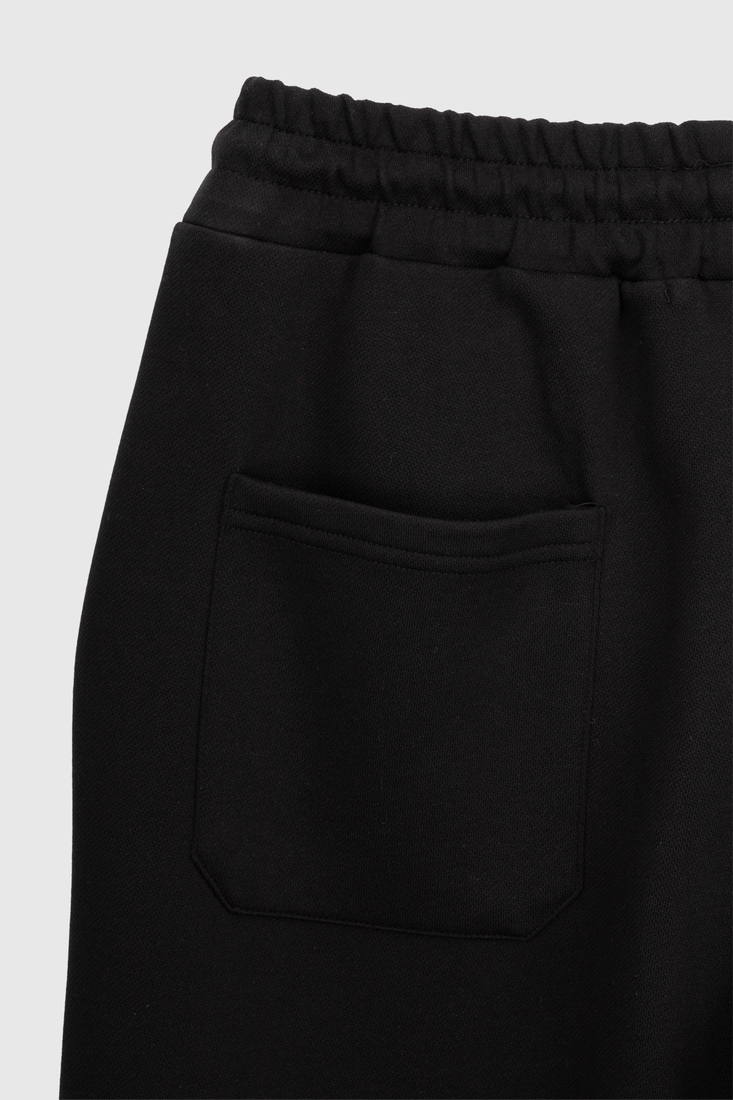 Фото Спортивные штаны мужские 24005 2XL Черный (2000990340207D)