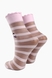 Шкарпетки для дівчинки, 8-12 років Bella Calze BC4006 Різнокольоровий (2000903501015A) Фото 2 з 3