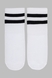 Шкарпетки для хлопчика Premier Socks Смужка 23-25 Білий (4820203339518A) Фото 2 з 7