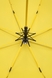 Зонт 12PT Разноцветный (2000904810314A) Фото 3 из 6