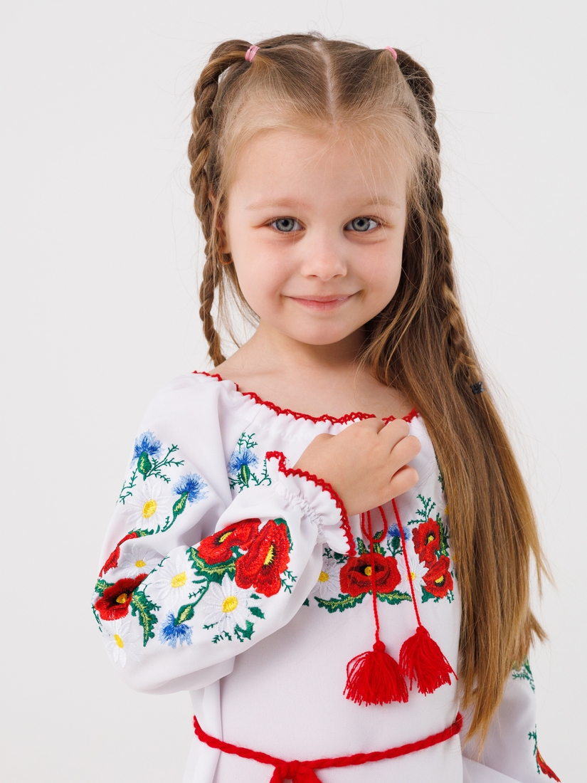 Фото Сукня з вишивкою КОЗАЧОК МАРИСЯ 98 Різнокольоровий (2000990387196D)