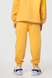 Костюм для хлопчика (худі+штани) Ecrin 2502 140 см Жовтий (2000990239853D) Фото 15 з 29