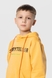Костюм для хлопчика (худі+штани) Ecrin 2502 140 см Жовтий (2000990239853D) Фото 10 з 29