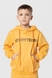 Костюм для хлопчика (худі+штани) Ecrin 2502 140 см Жовтий (2000990239853D) Фото 6 з 29