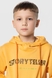 Костюм для хлопчика (худі+штани) Ecrin 2502 140 см Жовтий (2000990239853D) Фото 7 з 29