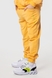 Костюм для хлопчика (худі+штани) Ecrin 2502 140 см Жовтий (2000990239853D) Фото 12 з 29