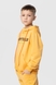 Костюм для хлопчика (худі+штани) Ecrin 2502 140 см Жовтий (2000990239853D) Фото 8 з 29
