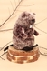 Іграшка для тварин Бобер Тріксі 40 см 35918 Коричневий (4011905359182A)