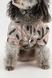 Комбинезон дождевик для животных KUMAOCHONGWUYONGPIN KM52618 S Бежевый (2000990380456D)