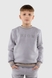Костюм для мальчика (свитшот+штаны) MAGO T-363 98 см Серый (2000990064714W) Фото 7 из 21