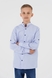 Рубашка однотонная для мальчика Redpolo 1723-1 164 см Голубой (2000990388100D) Фото 1 из 11