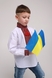 Рубашка с вышивкой для мальчика КАЗАЧОК СЕРГЕЙ 110 см Разноцветный (2000989394754D) Фото 4 из 10