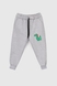 Спортивні штани з принтом для хлопчика Pitiki 9786 104 см Сірий (2000990045331D) Фото 1 з 5