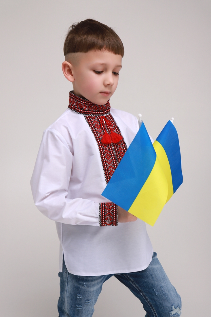 Фото Рубашка с вышивкой для мальчика КАЗАЧОК СЕРГЕЙ 110 см Разноцветный (2000989394754D)