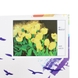 Набор для творчества Babylon DIY живопись по номерам Желтые тюльпаны (2000903604518) Фото 1 из 6