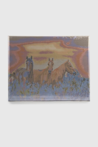 Фото Алмазна мозаїка Коні на квітковому полі DBS1018 Різнокольоровий (9995482178204)