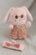 Мягкая игрушка зайчик в платье C21703 Розовый (2000989445975) Фото 2 из 2