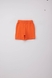 Костюм (футболка+шорты) Bay Gree 42245 80 Оранжевый (2000989458807S) Фото 7 из 7