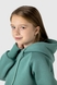 Костюм дитячий (худі,штани) Ecrin 4613 134 см Зелений (2000990193896W) Фото 4 з 30