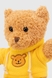 Мягкая игрушка Медвежонок QINLUGONGYIWANJUCHANG QLI6201 Желтый (2000990378101) Фото 2 из 3