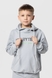 Костюм для хлопчика (худі+штани) Ecrin 2502 140 см Сірий (2000990239907D) Фото 8 з 29