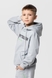 Костюм для хлопчика (худі+штани) Ecrin 2502 140 см Сірий (2000990239907D) Фото 9 з 29