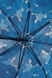 Зонт женский R83143 Синий (2400571369014A) Фото 3 из 4