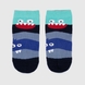 Шкарпетки для хлопчика Leostep 1000611318 18 Синій (4820243005169А) Фото 6 з 6