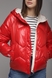 Куртка женская 2315 3XL Красный (2000989367635D) Фото 6 из 13