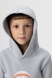 Худи с принтом для мальчика First Kids 3155 110 см Серый (2000990103147W) Фото 4 из 12