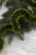 Новогодняя Мишура ДОЩИК ДМ5+ Зеленый (2000989322535)(NY) Фото 1 из 2