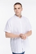 Рубашка однотонная мужская Stendo 14215 3XL Белый (2000989628439S) Фото 4 из 11