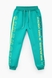 Спортивные штаны Lizi HX005 128 Зеленый (2000904243440W) Фото 1 из 6
