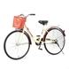 Дорожный велосипед PIGEWN HXI723 26" Коричневый (2000989587538) Фото 10 из 12
