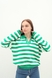 Пуловер Noa Noa 8847 One size Зелений (2000989157663D) Фото 1 з 6