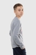 Спортивний костюм (кофта,реглан,штани) для хлопчика 8896 176 см Сірий (2000989896968D) Фото 9 з 27