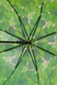 Зонт женский R83143 Зеленый (2000902520628A) Фото 3 из 4