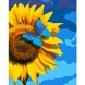 Картина за номерами "SANTI" /953948/ "Український соняшник" 40х50см (4823091911774) Фото 1 з 2