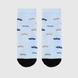 Шкарпетки для хлопчика Citto Машинки 3-4 роки Блакитний (2000990114907A) Фото 3 з 7