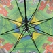 Зонт для мальчика Flagman 017-1 Разноцветный (2000990022912А) Фото 4 из 7